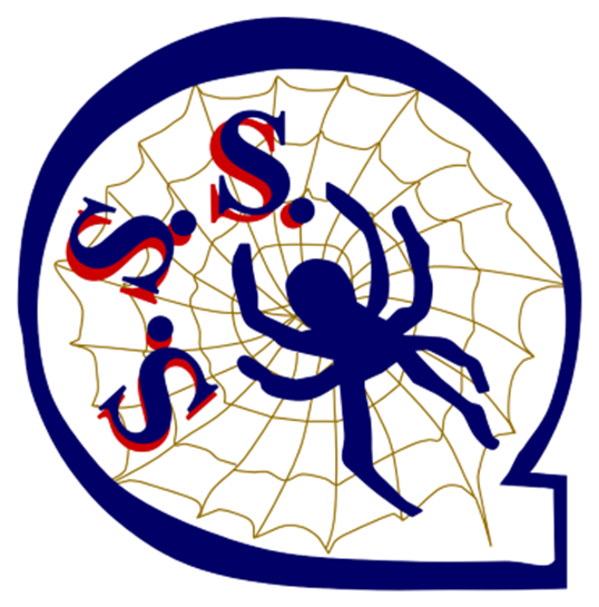 Spider Security logo